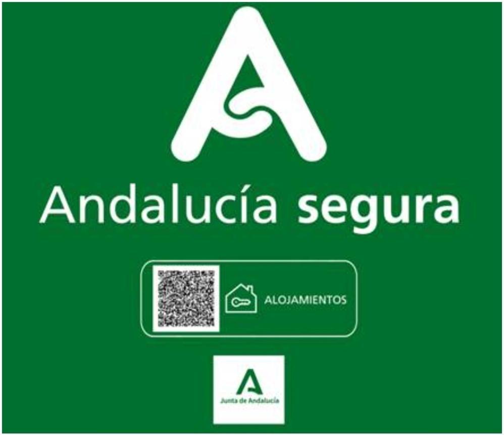 Todosierranevada Zona Baja - Edificio Alhambra - Junto A Los Telecabinas Sierra Nevada Extérieur photo